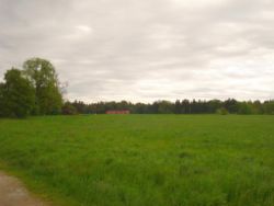 2013-05-19_Iffeldorf_Aiderbichl (81).JPG
